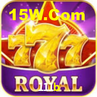 Premium Interface 111b